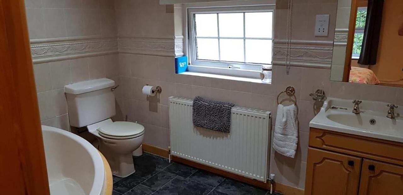 Hilltop Cottage/ Penrhiw Holiday home Maentwrog